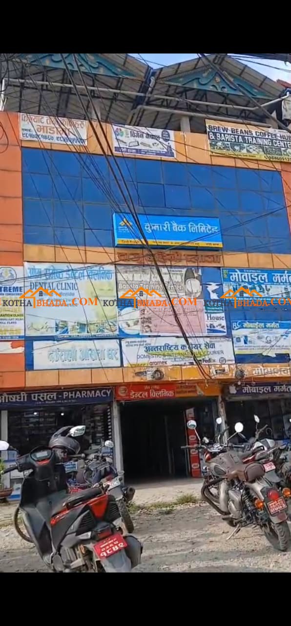 Perfect for OYO/Hotel | Prime Commercial Building with 16 Rooms + Shutter Shauraha Chowk,  Chitwan